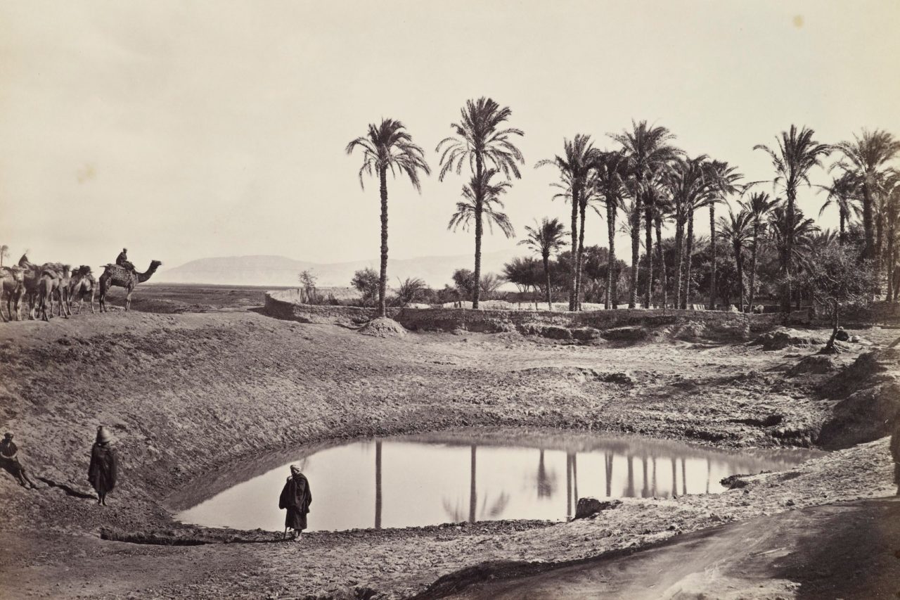 Carnac - The Salt Lake with Palms and Camels