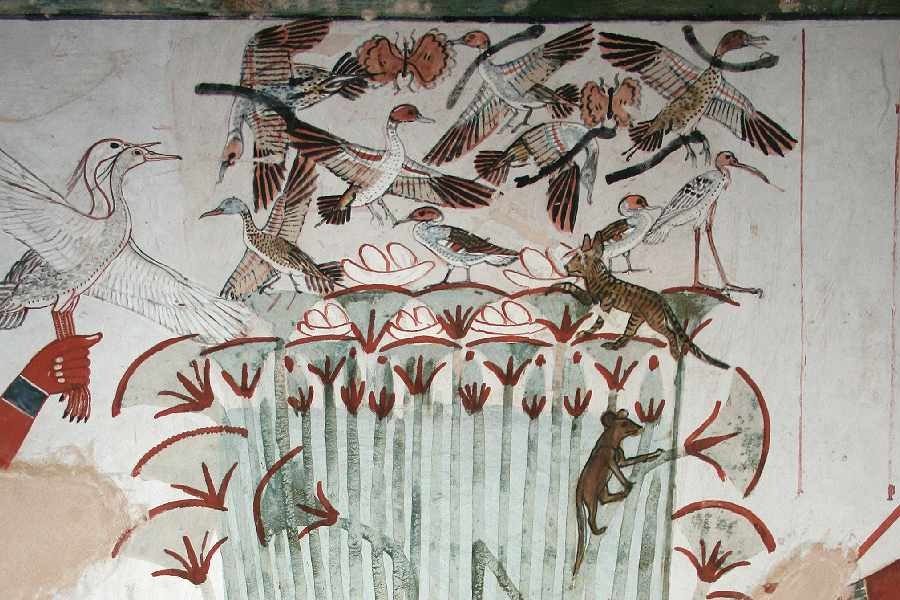 Tomb of Menna TT69