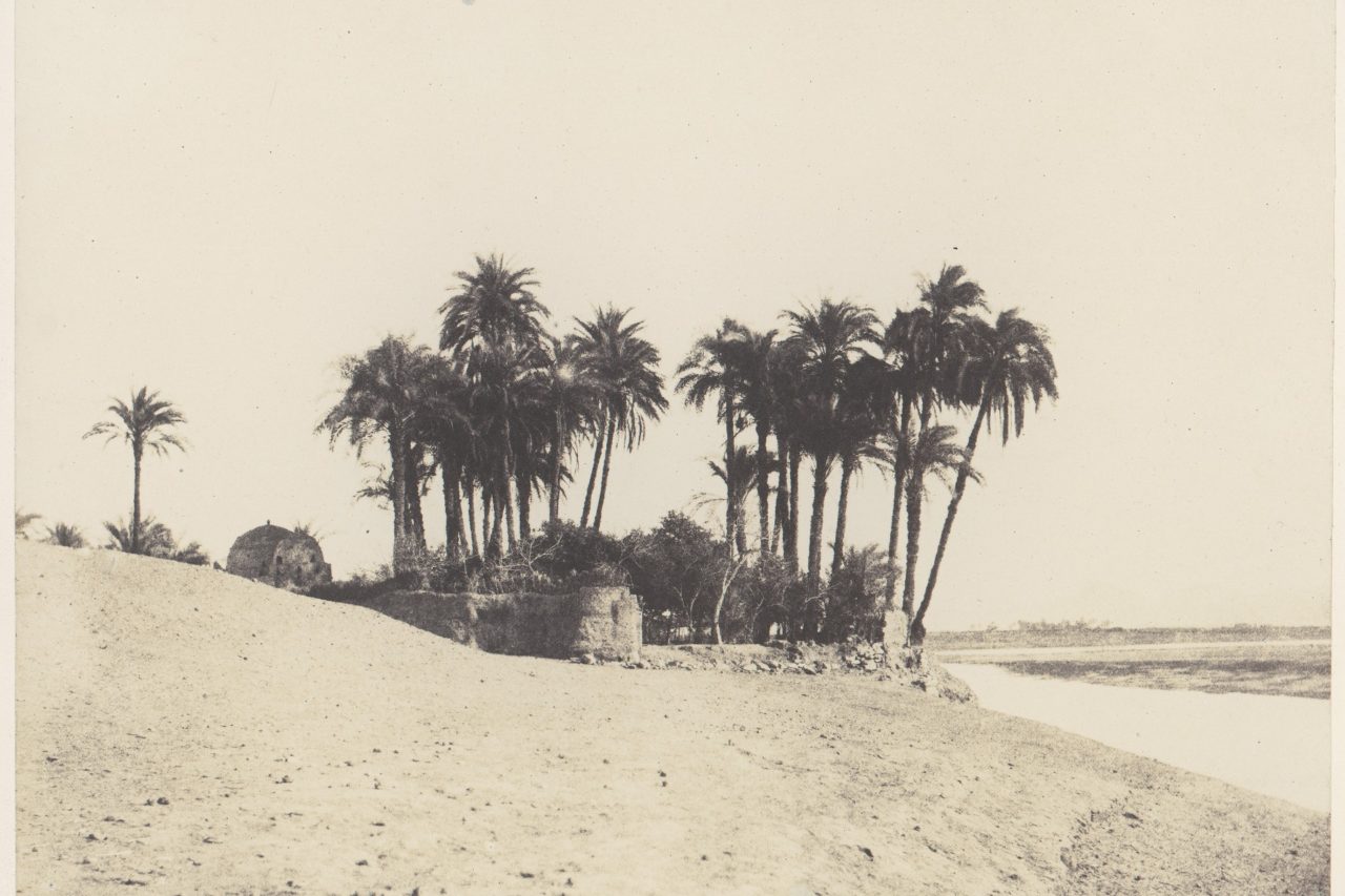Luxor, Date Palms and Garden of the Luxor Expedition