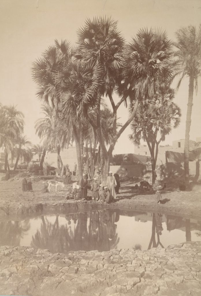 Luxor: during the flood 1864