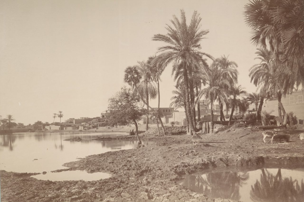 Luxor 1864