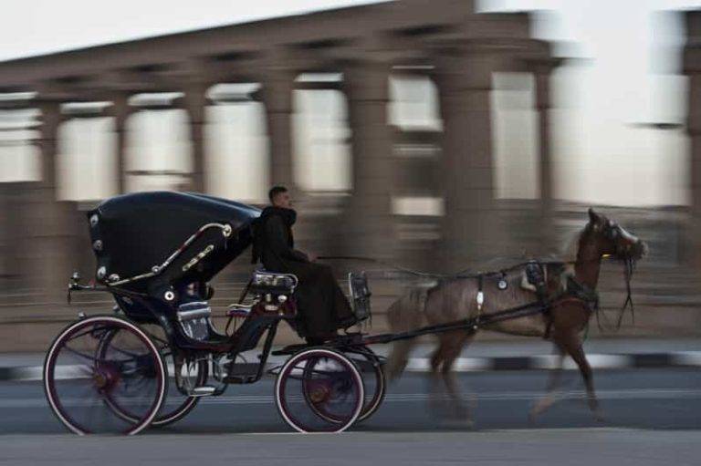 Horse-Drawn Carriage in Luxor