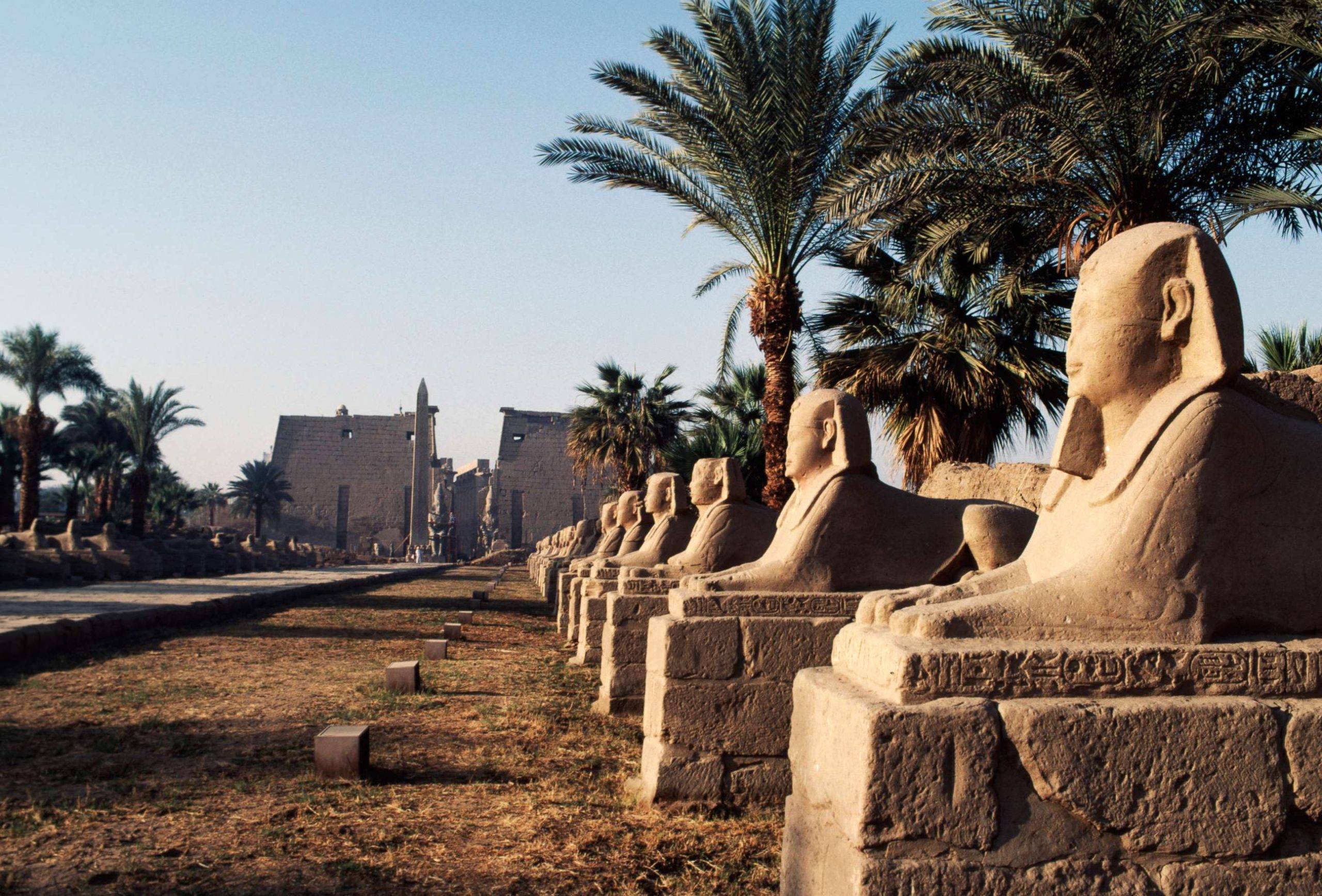 Avenue of Sphinxes during the Opet Festival route in Luxor