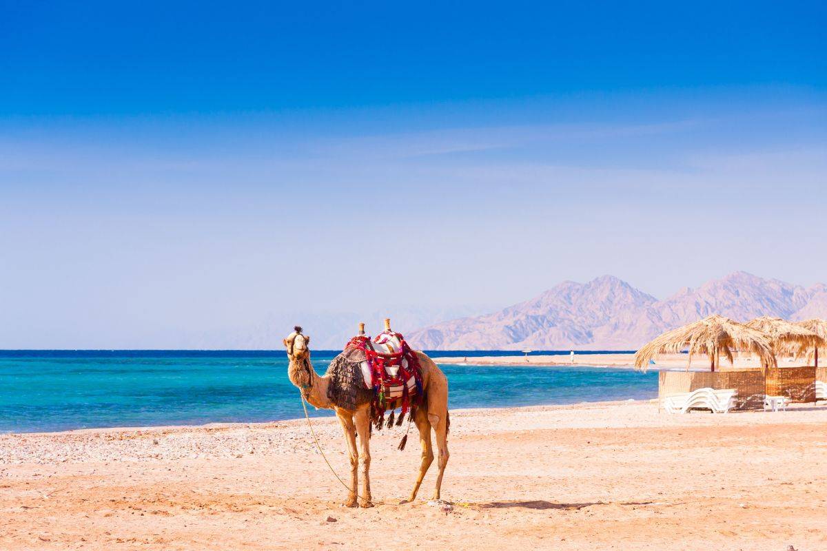 Water activities and beach life in Hurghada, Egypt