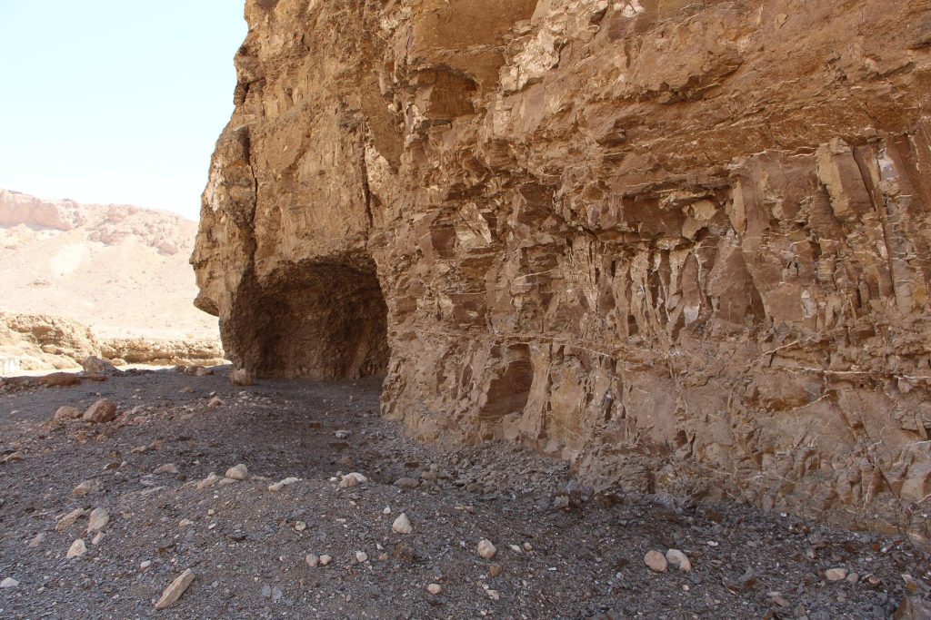Al-Dabbabiya Natural Protectorate