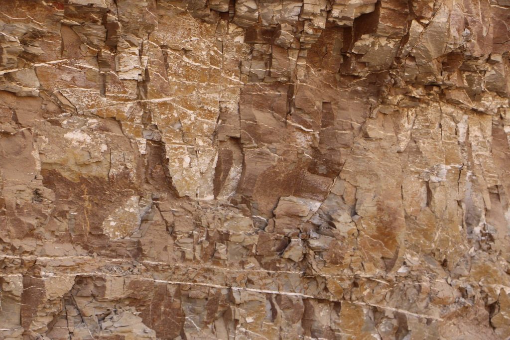 Al-Dabbabiya Natural Protectorate