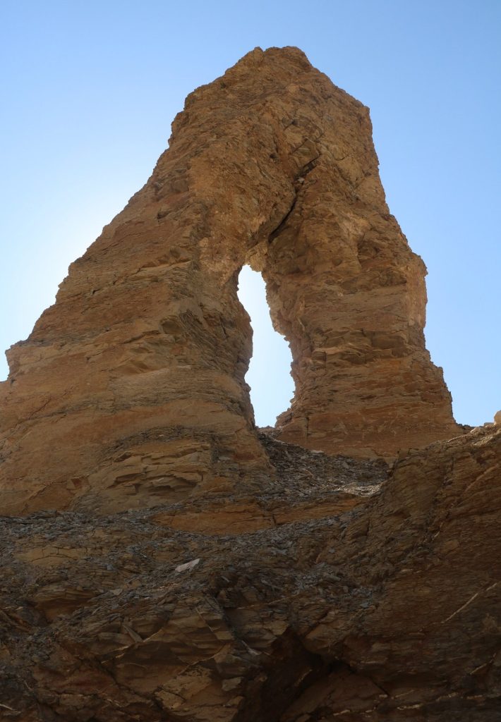 Al-Dabbabiya Natural Protectorate