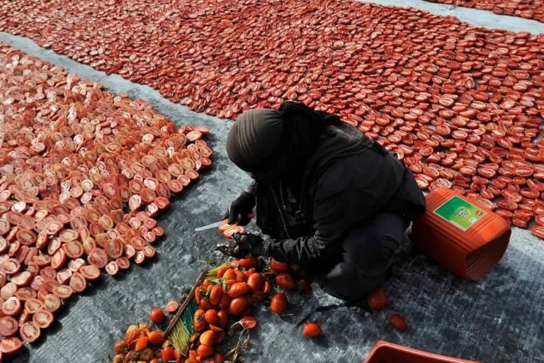 Read more about the article Sun-Dried Tomatoes In Luxor
