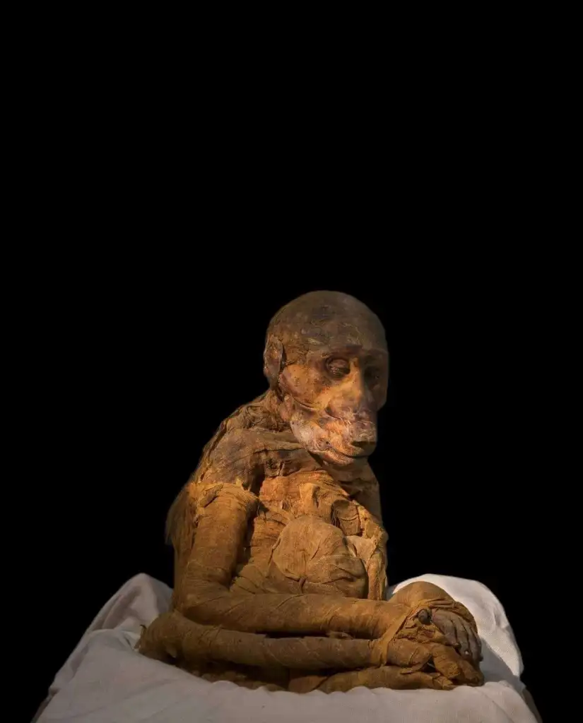 Mummy-of-a-baboon.-Egyptian-Museum-Cairo.-JE-38747-CG-29837