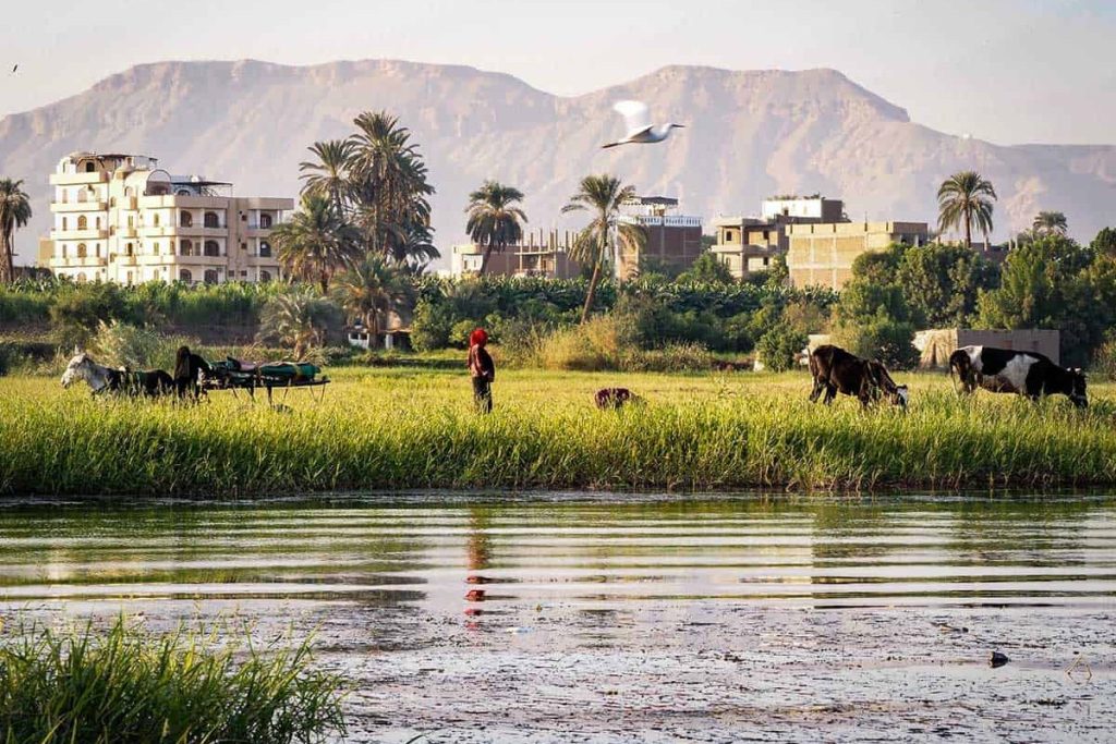 countryside of luxor