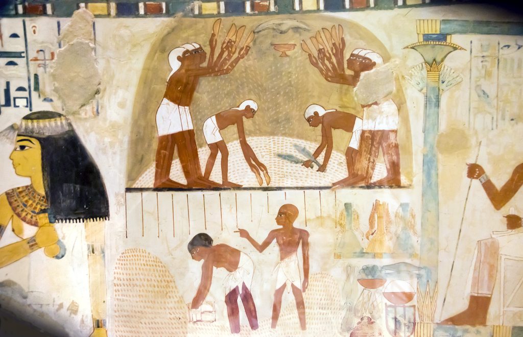 Tomb of Nakht,Winnowing scene, separation of grain from the chaff